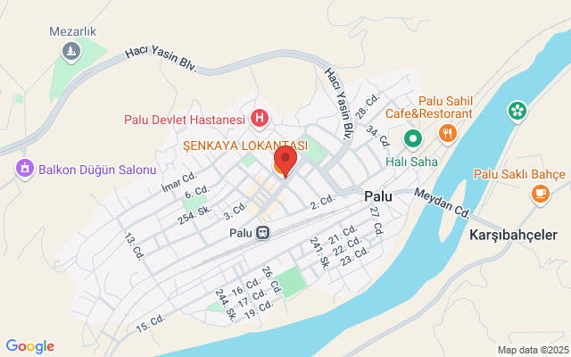 Palu Eczanesi